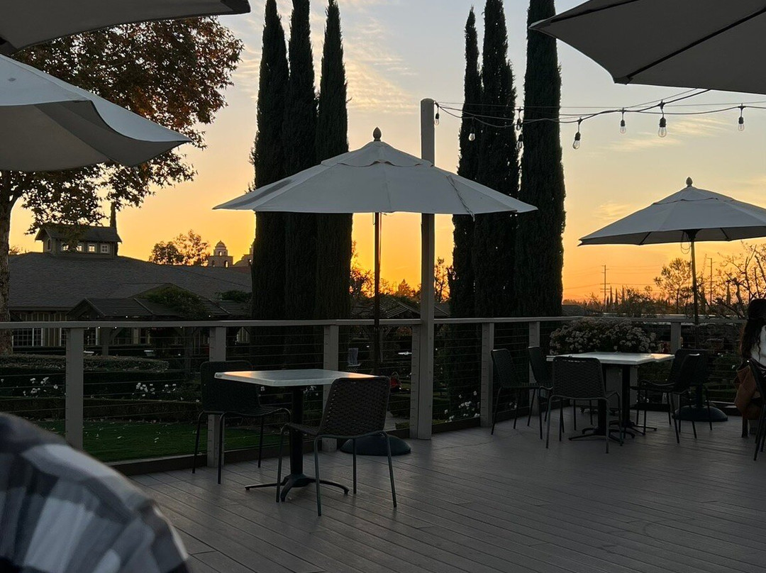 Ponte Winery-特曼库拉必去景点