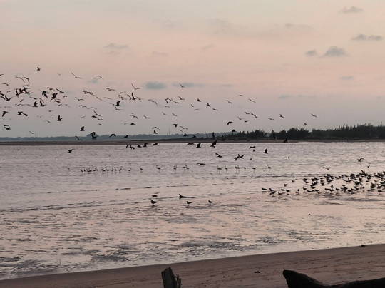 Terek Birding Tours-瓦塔木必去景点