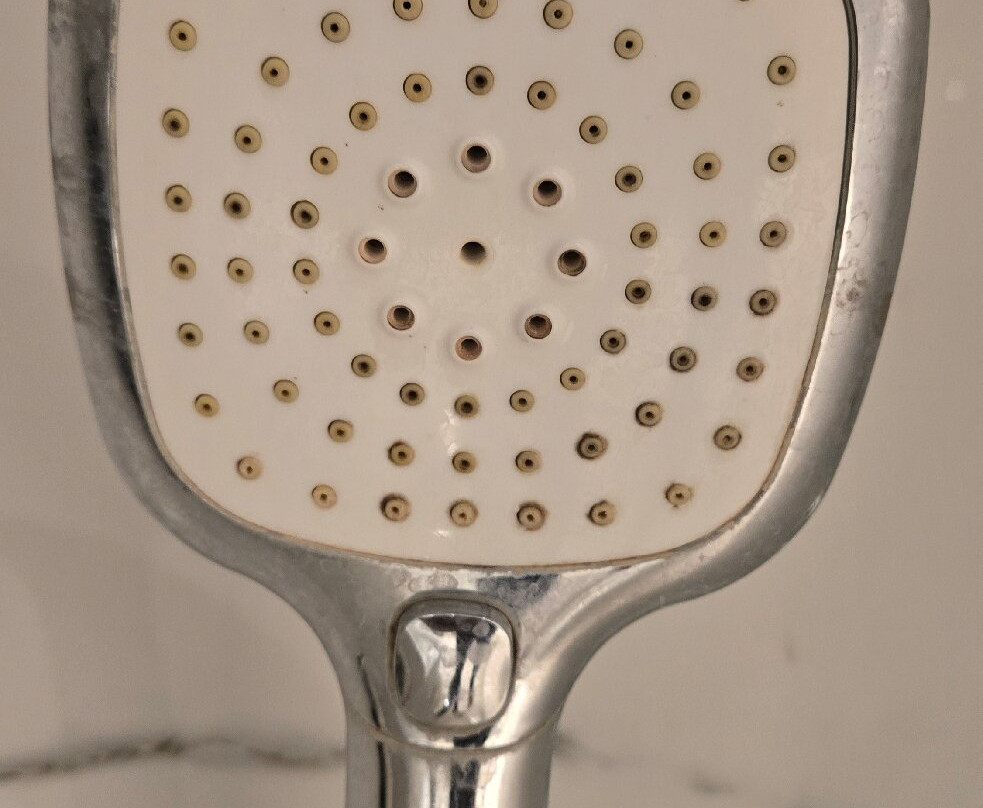 The Fern Sardar Sarovar Resort, Ekta Nagar主图