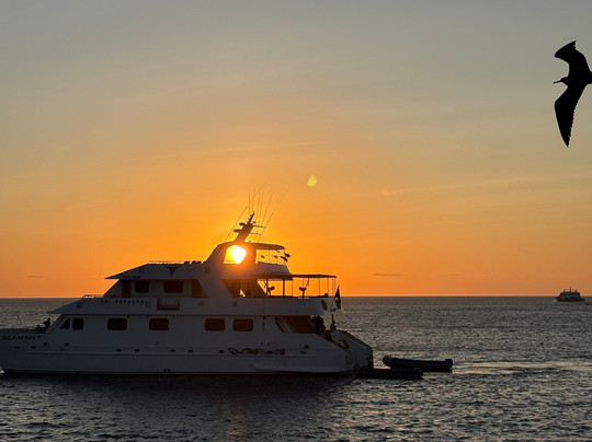 Smart Galapagos-阿约拉港必去景点