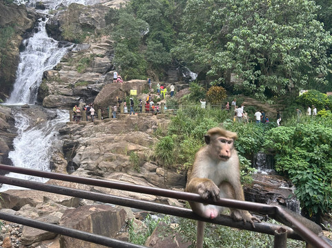 Lithu Lanka Tours-蒂瑟默哈拉默必去景点