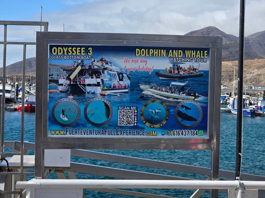 Jandía-Jandia Peninsula必去景点