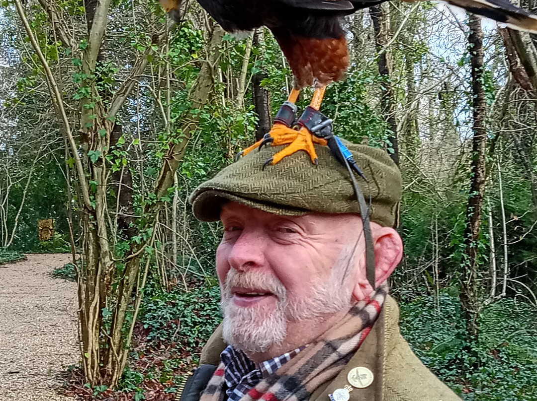 Robin Hill Adventure Park-纽波特必去景点