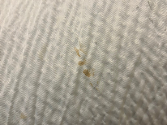 Red Roof Inn Chicago - O'Hare Airport / Arlington Hts主图