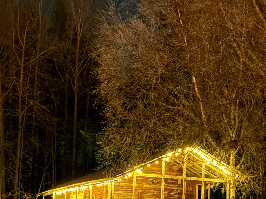 Openlappland-Amsele必去景点