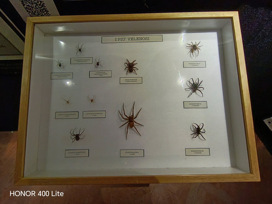 Citta Della Scienza-那不勒斯必去景点