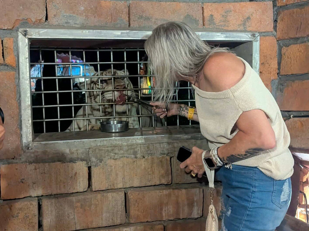 Taman Safari Indonesia Bogor-Cisarua必去景点