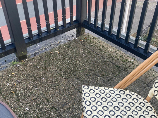 Hotel Doppenberg主图