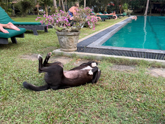 塔拉拉度假酒店主图