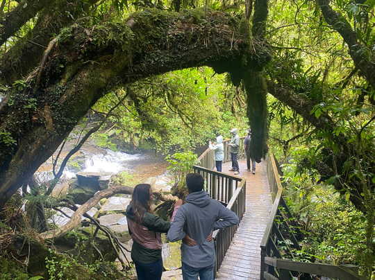 Purakaunui Falls-Purakaunui必去景点
