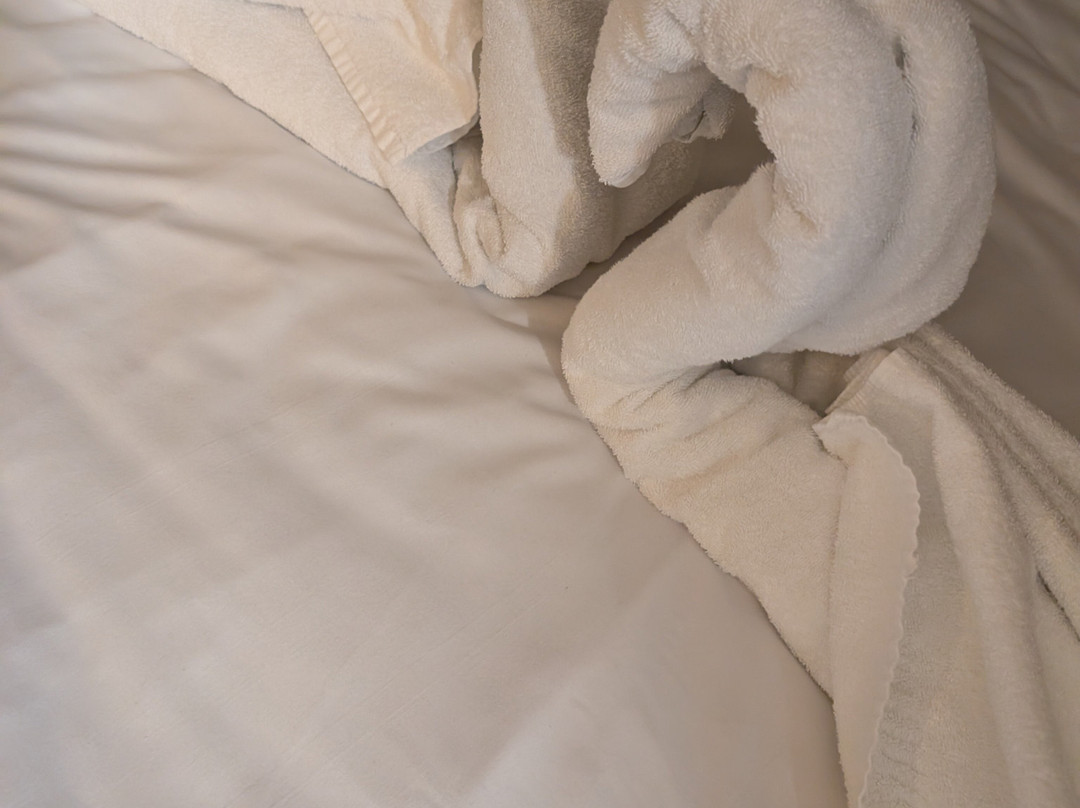 朴次茅斯旅客之家酒店主图