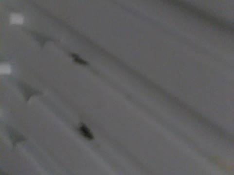 Quality Inn Chesterton Near Indiana Dunes National Park I-94主图