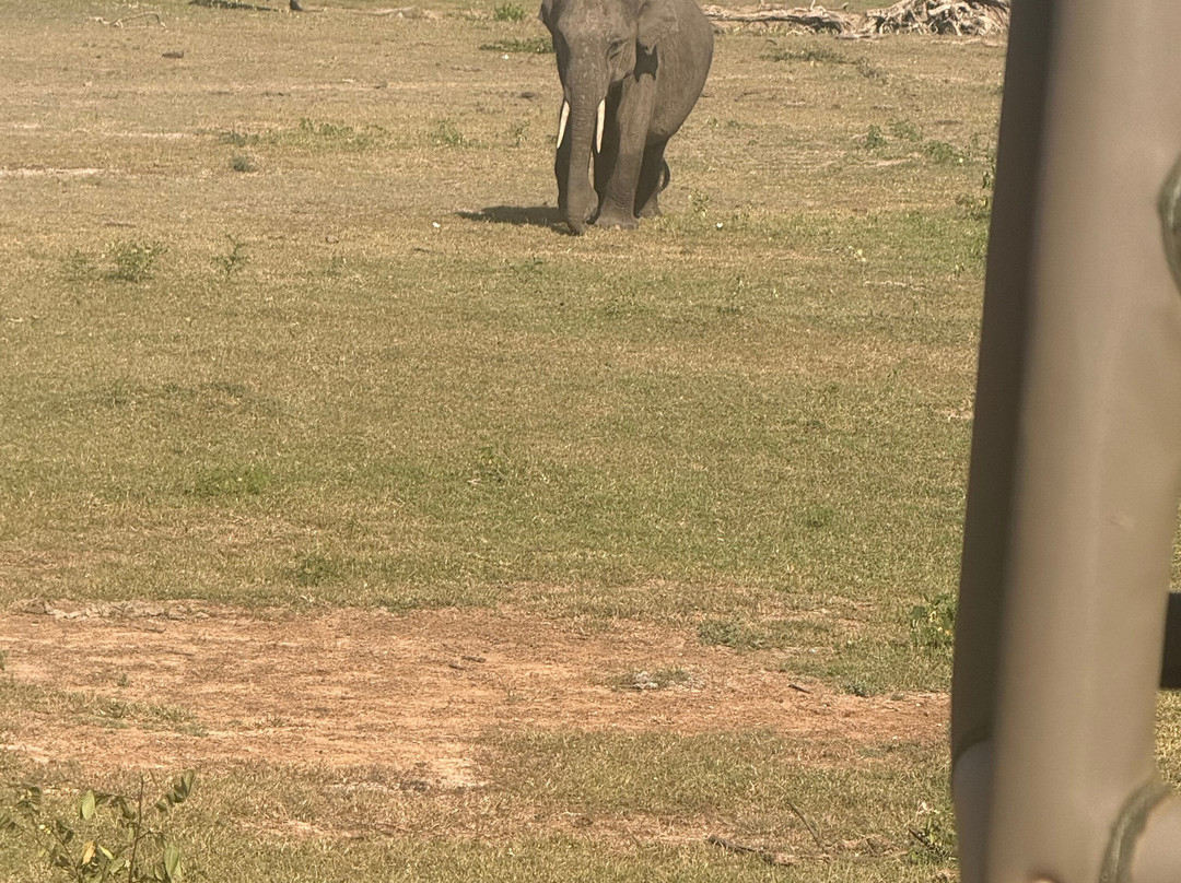 South Lanka Tours - Day Tours-科伦坡必去景点