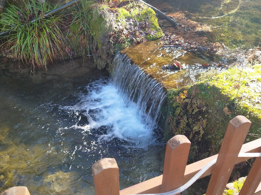 Xenonas Evrostini主图