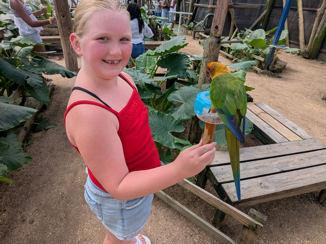 Parotte Ville Bird Sanctuary-圣马丁岛必去景点