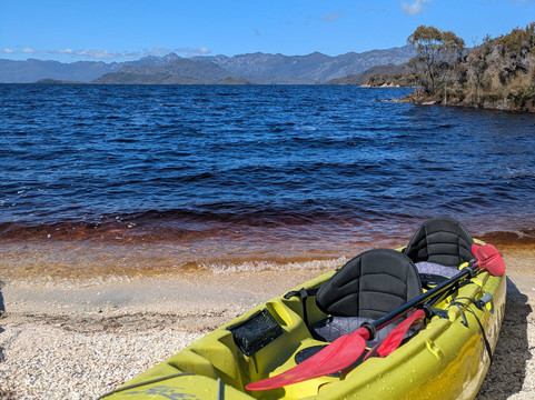 Tassie Bound-New Norfolk必去景点