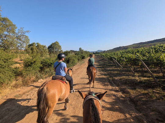 Natural Wine Tours-Palmilla必去景点