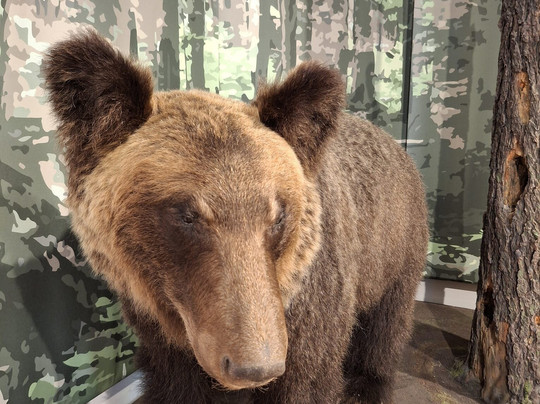 Asahidake Visitor Center-东川町必去景点