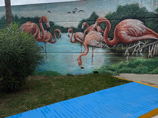 Lawson's Original Yucatan Excursions-Progreso必去景点