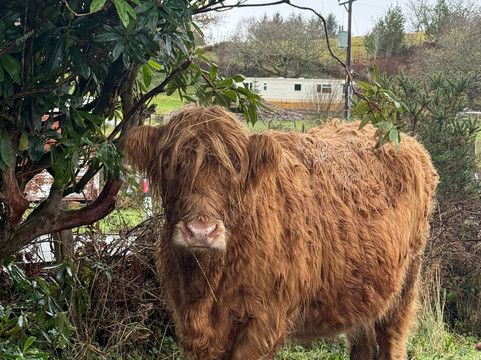 Cruachan Tours-Glencoe Village必去景点