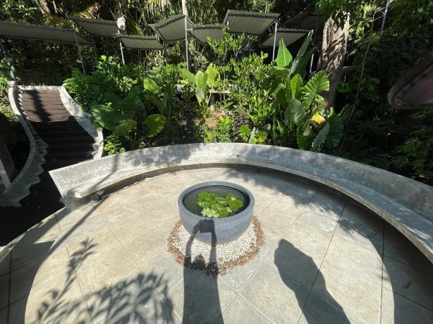 Hilltop Wellness Resort-官方