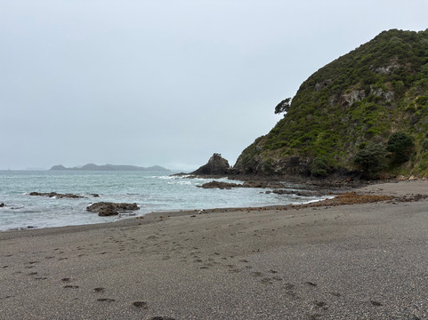 科科莫公寓主图