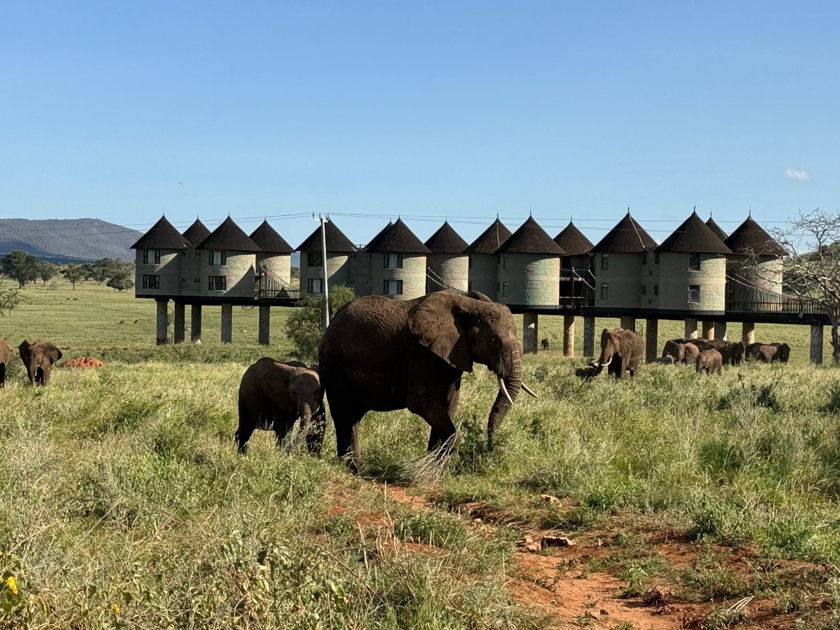 萨尔特利克野生动物园小屋-浴室