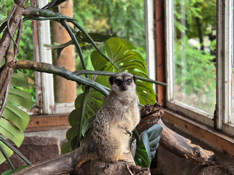 Atomi Mini Zoo-Liepaja必去景点