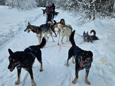 Snowhook Adventure Guides of Alaska-Willow必去景点