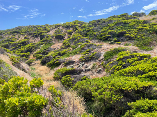 Flinders Blowhole-弗林德斯必去景点