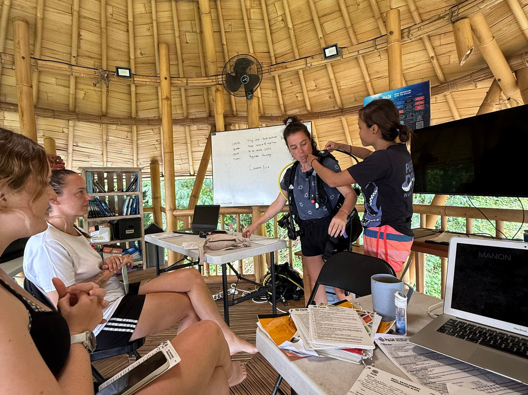 Purple Dive Penida-珀尼达岛必去景点