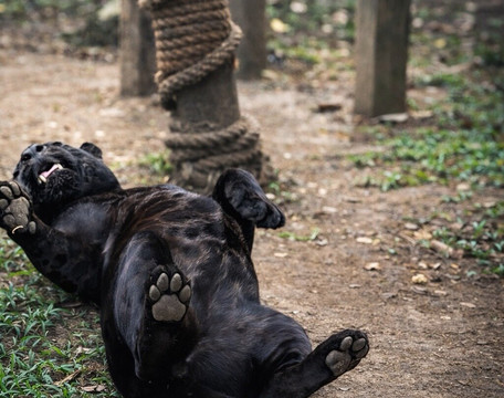 Yumká-Villahermosa必去景点