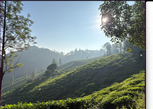 Chembra Peak-瓦亚纳德区必去景点