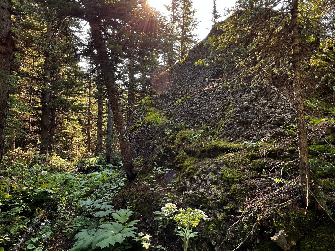 Uplift Adventures-科尔曼必去景点