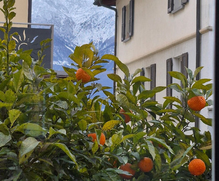 亚历山德拉酒店主图