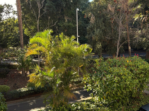 特内里费岛塔布里恩特S.C.酒店主图