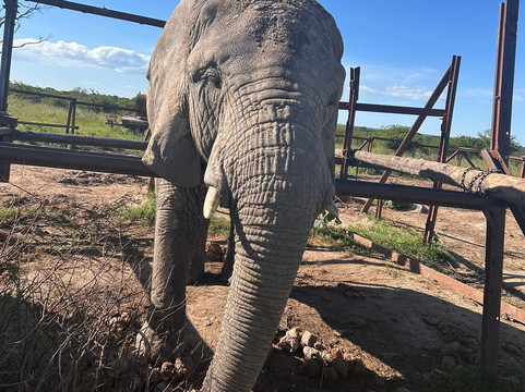 Antelope Park-圭洛必去景点