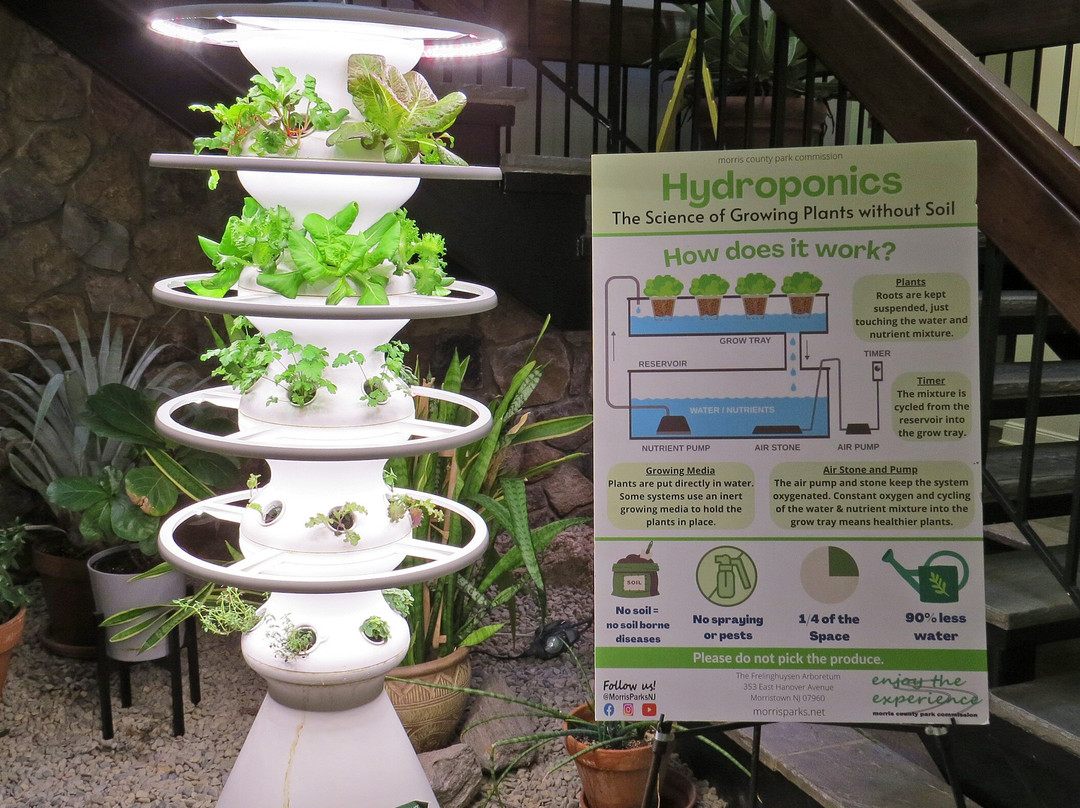 The Frelinghuysen Arboretum-莫里斯敦必去景点