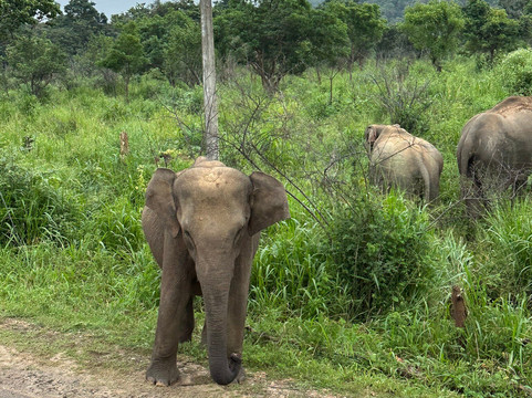 RS Leisure (PVT) Ltd-Battaramulla必去景点