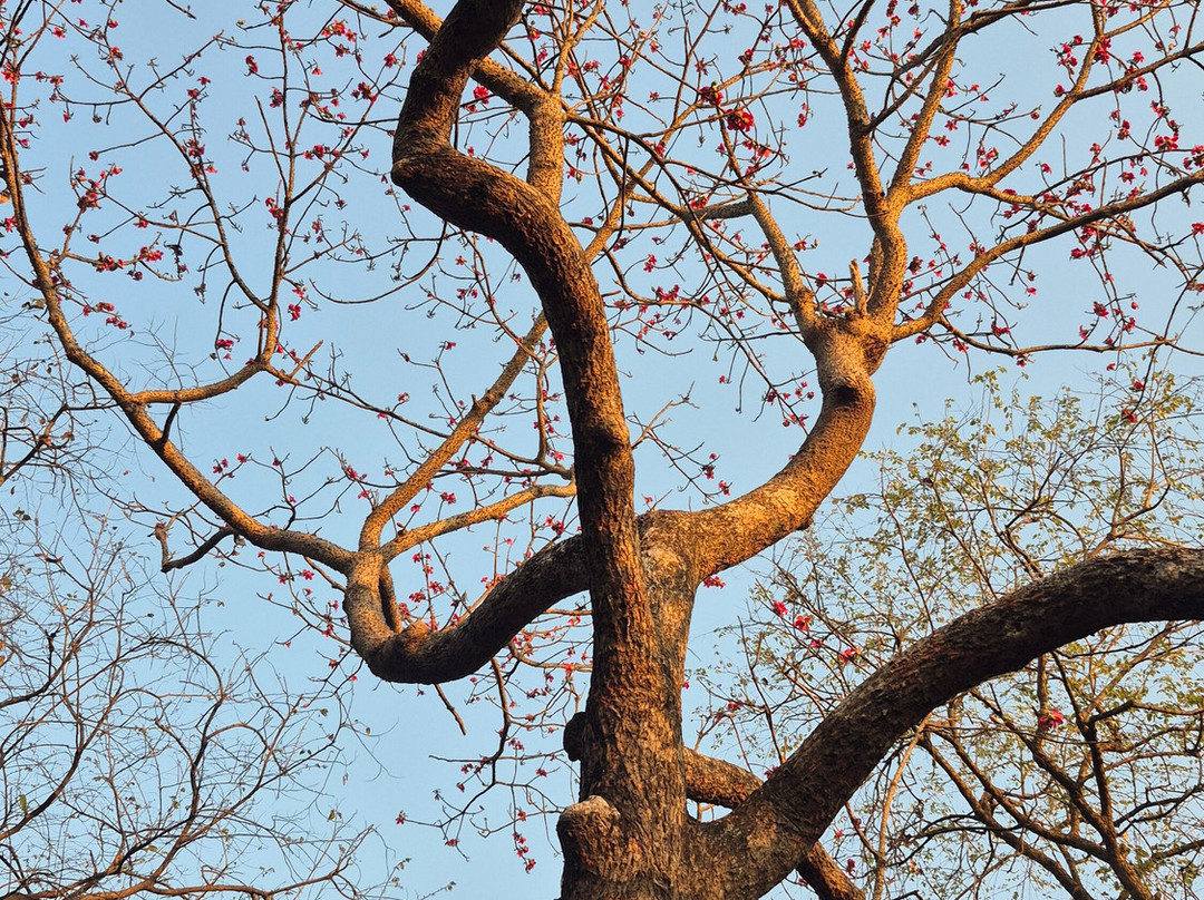 Soul Travelling-巴拿吉必去景点