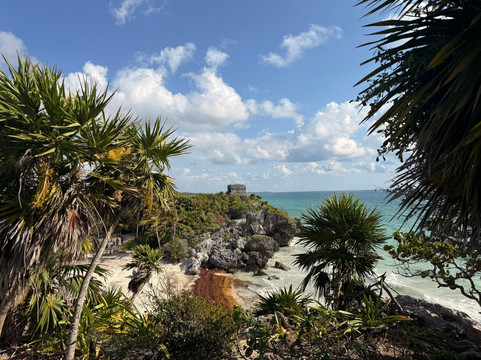海洋观鲸鲨之旅-坎昆必去景点