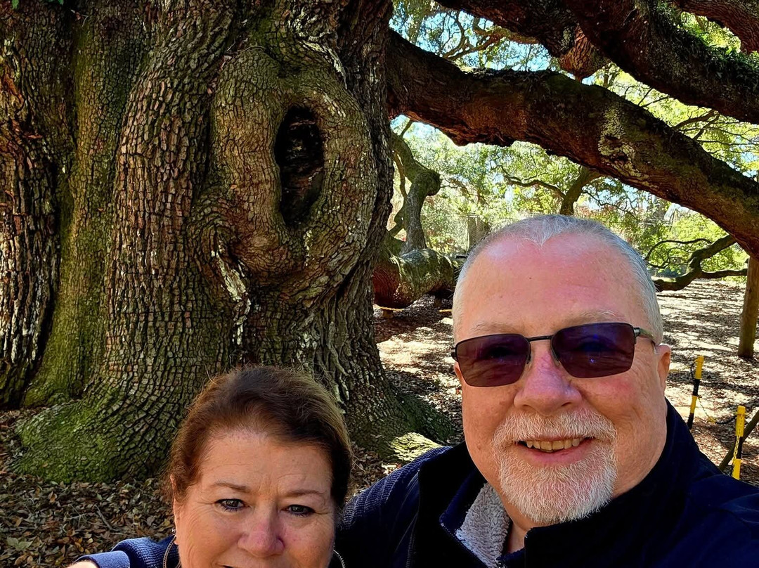 Angel Oak Tree-Johns Island必去景点