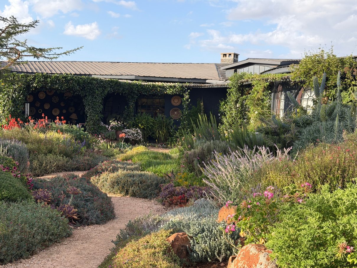 Olepangi Farm-官方