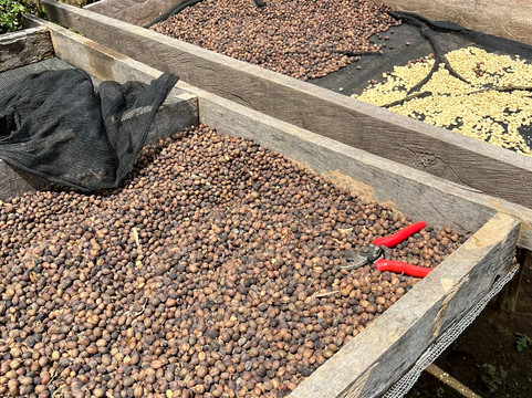 Ifulong Cultural Tourism-阿鲁沙必去景点