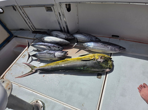 Boom Boom Sportfishing-怀厄奈必去景点