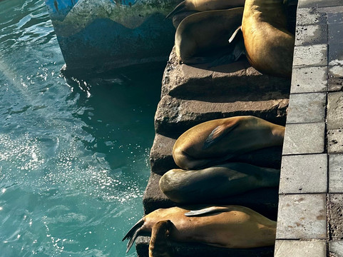 Playa Punta Carola-圣克里斯托瓦尔必去景点