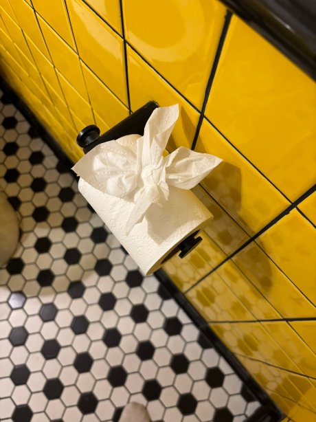 维瓦娜，璀蔓臻选温德姆酒店-官方