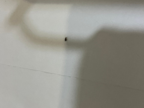 帆船酒店-美溪海滩主图