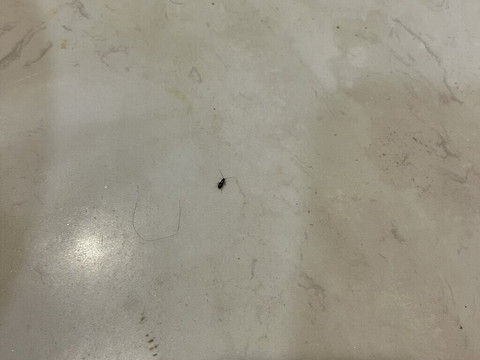 帆船酒店-美溪海滩主图