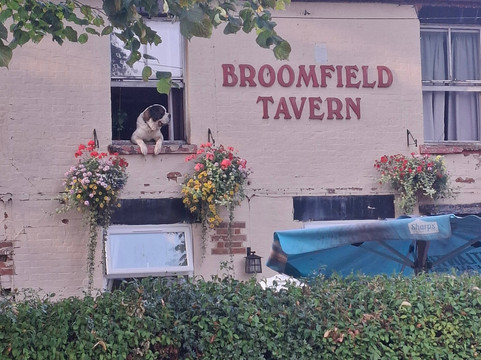 The Broomfield Tavern-考文垂必去景点